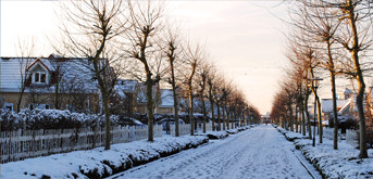 Impressie van het park in de winter 2012